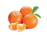FRESH@1 1.5 Kg Mandarin